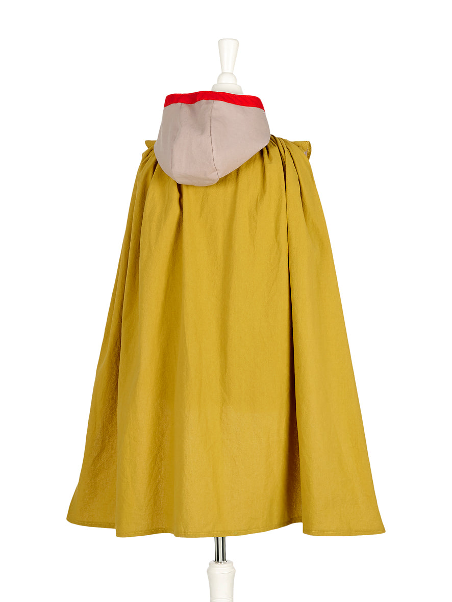 Déguisement chevalier