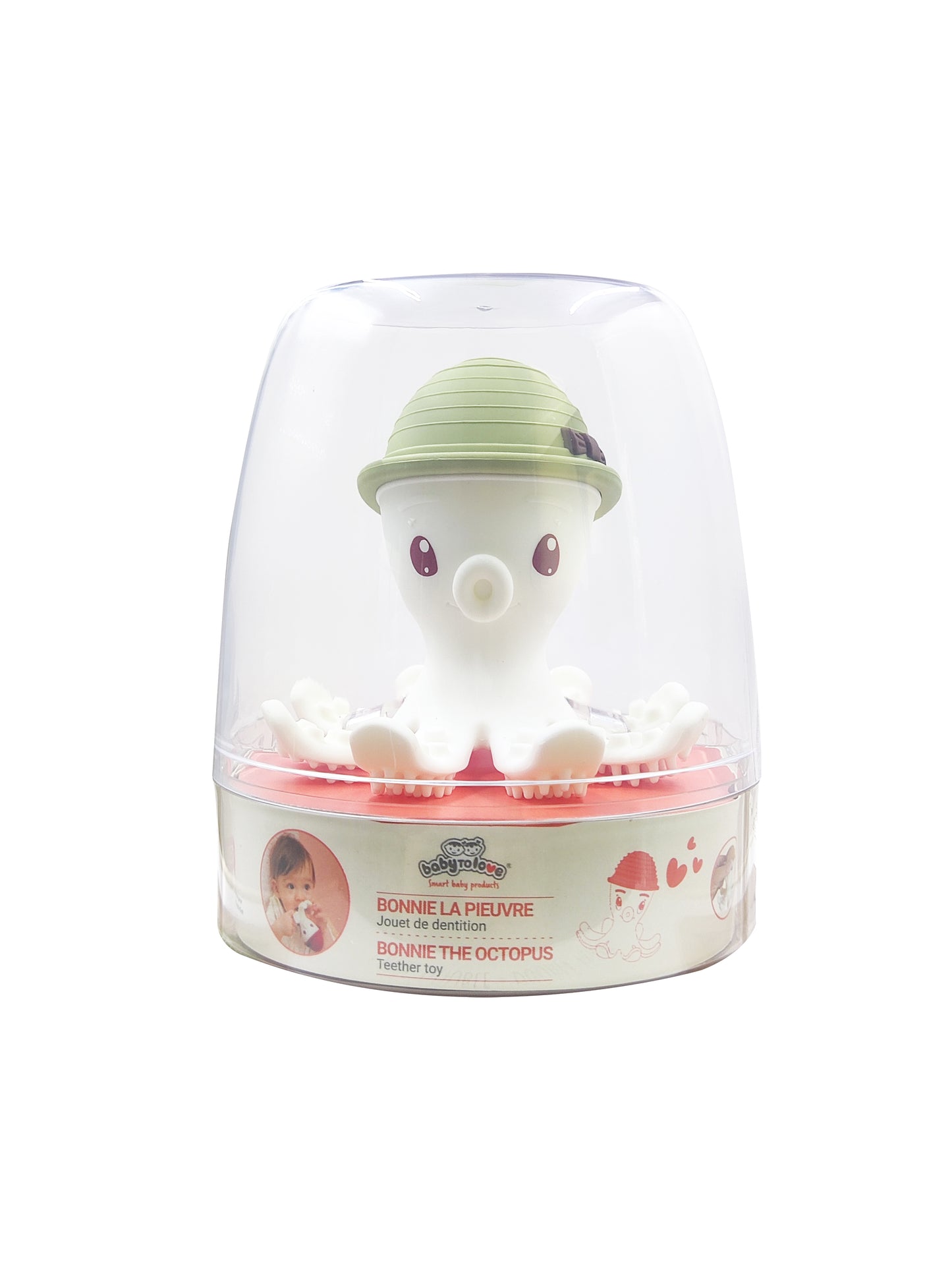 Pieuvre de dentition