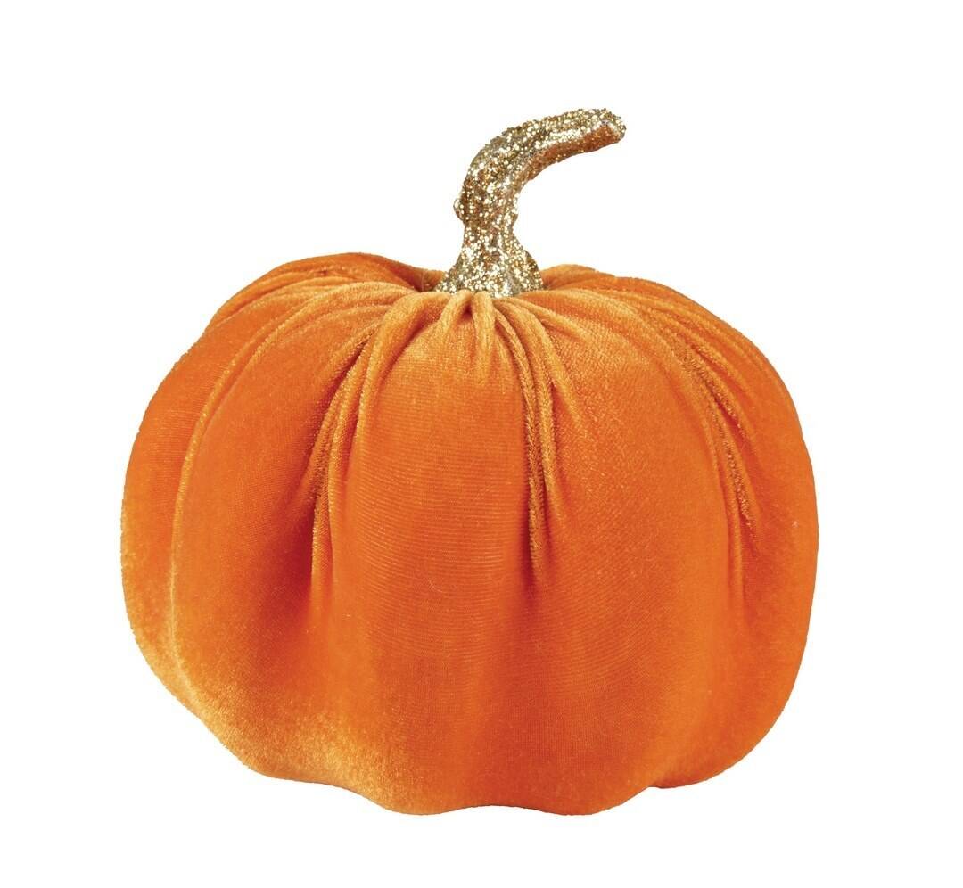 Citrouille velour orange