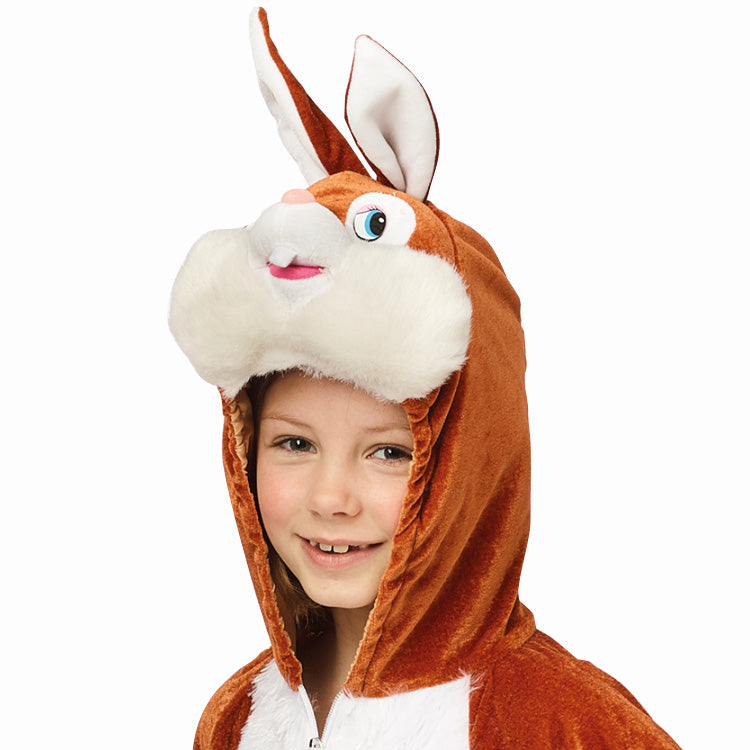 Déguisement lapin