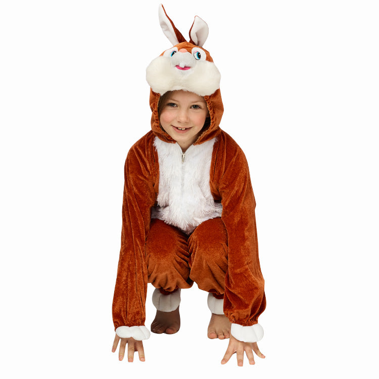 Déguisement lapin