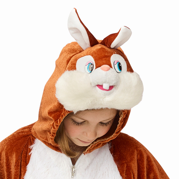 Déguisement lapin