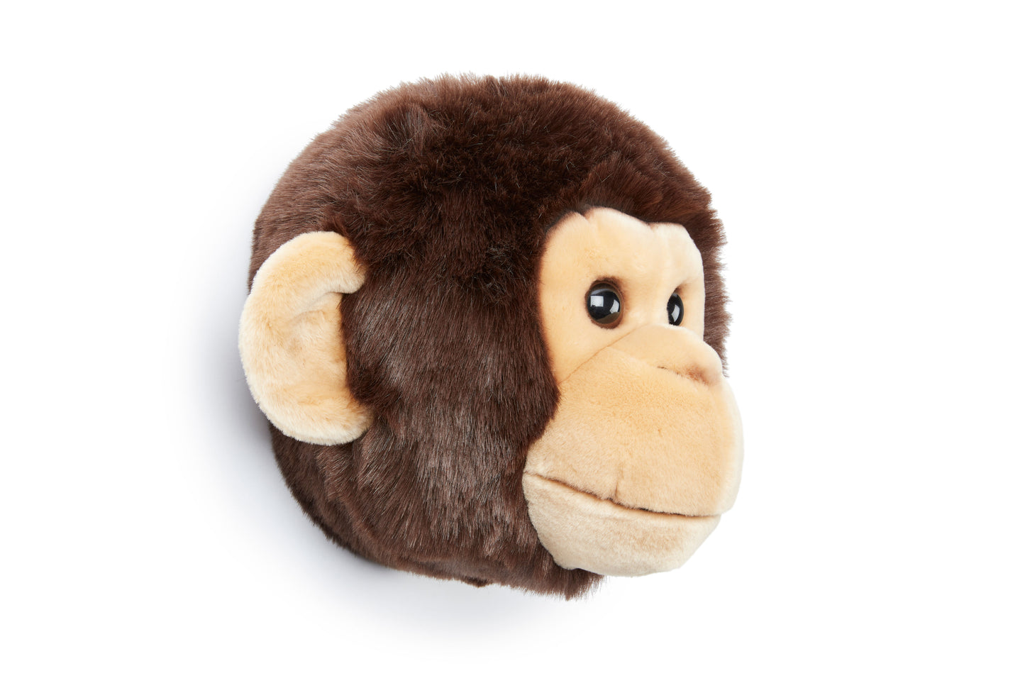 Trophée de chasse tête de Singe