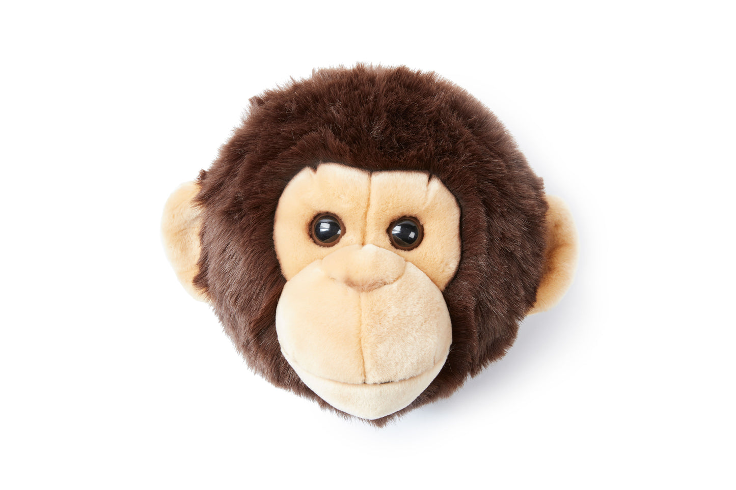 Trophée de chasse tête de Singe