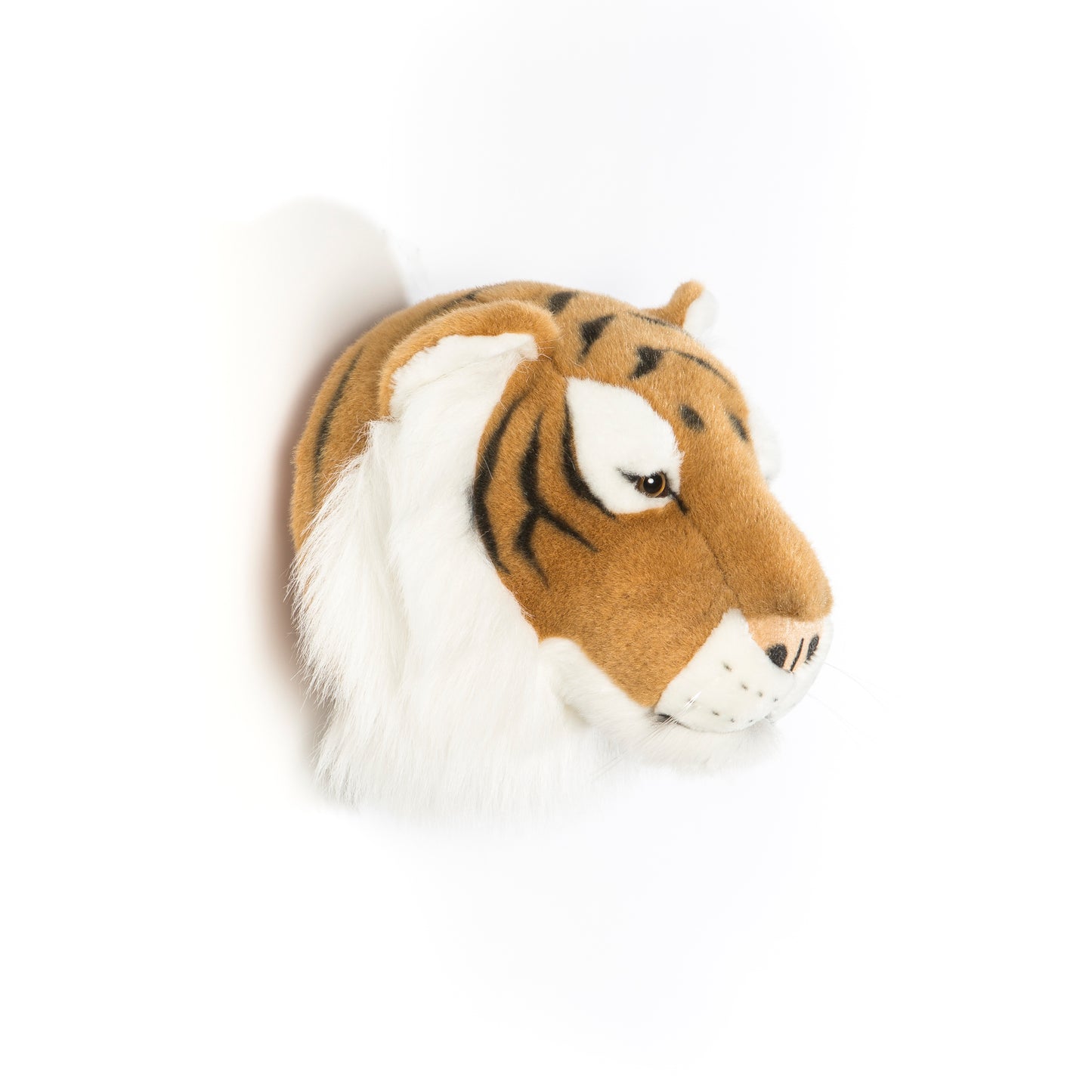 Trophée de chasse tête de Tigre