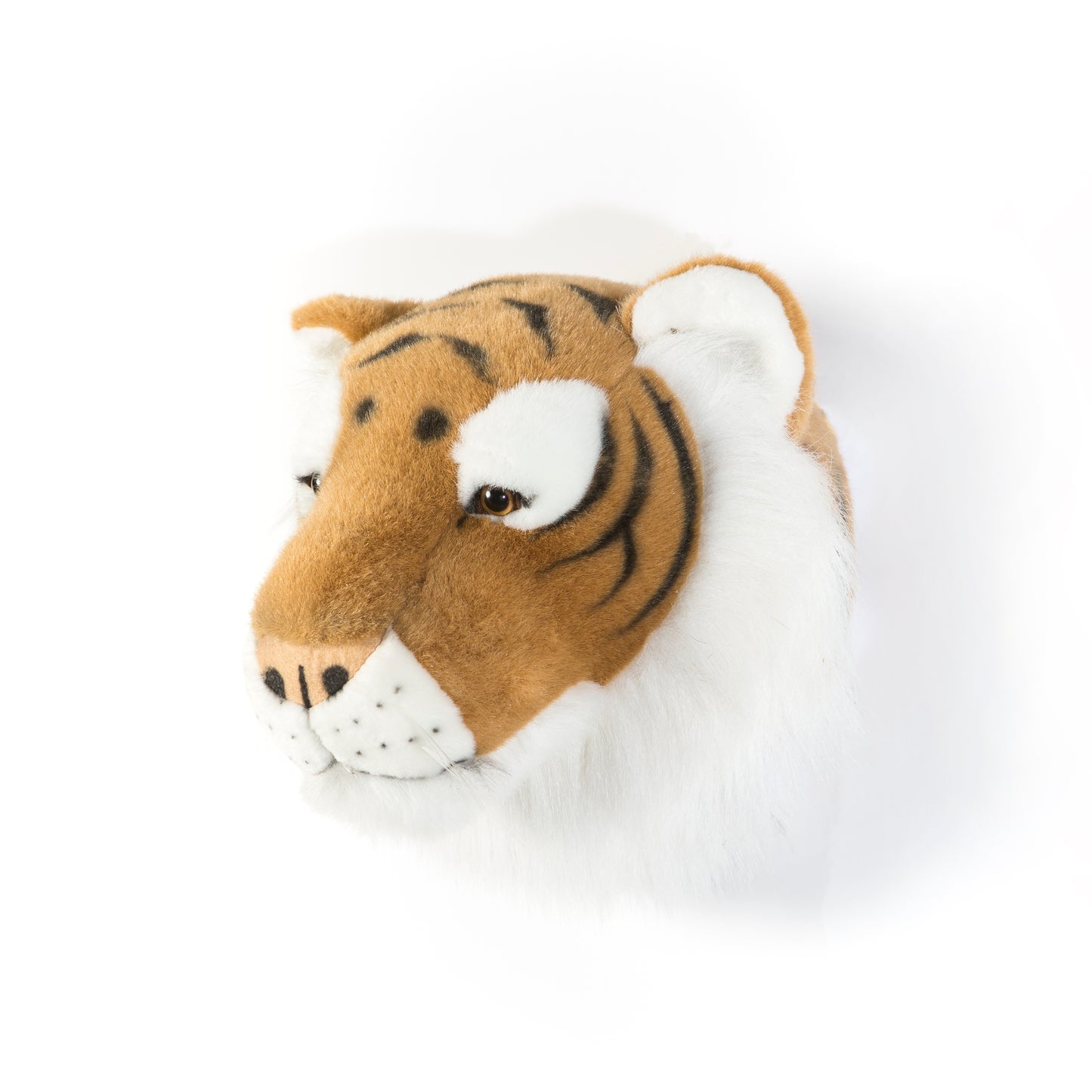 Trophée de chasse tête de Tigre