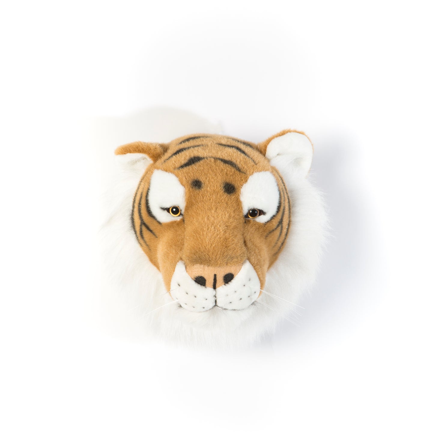 Trophée de chasse tête de Tigre