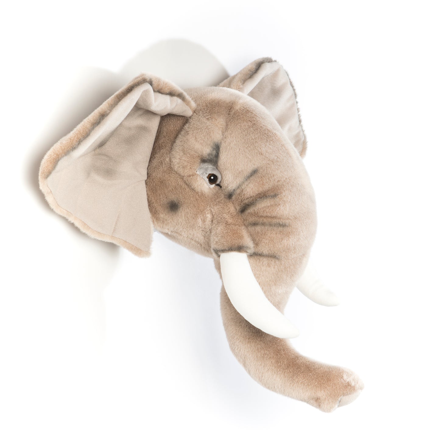 Trophée de chasse tête d'Eléphant