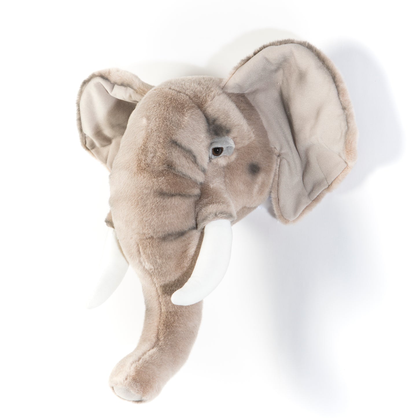 Trophée de chasse tête d'Eléphant