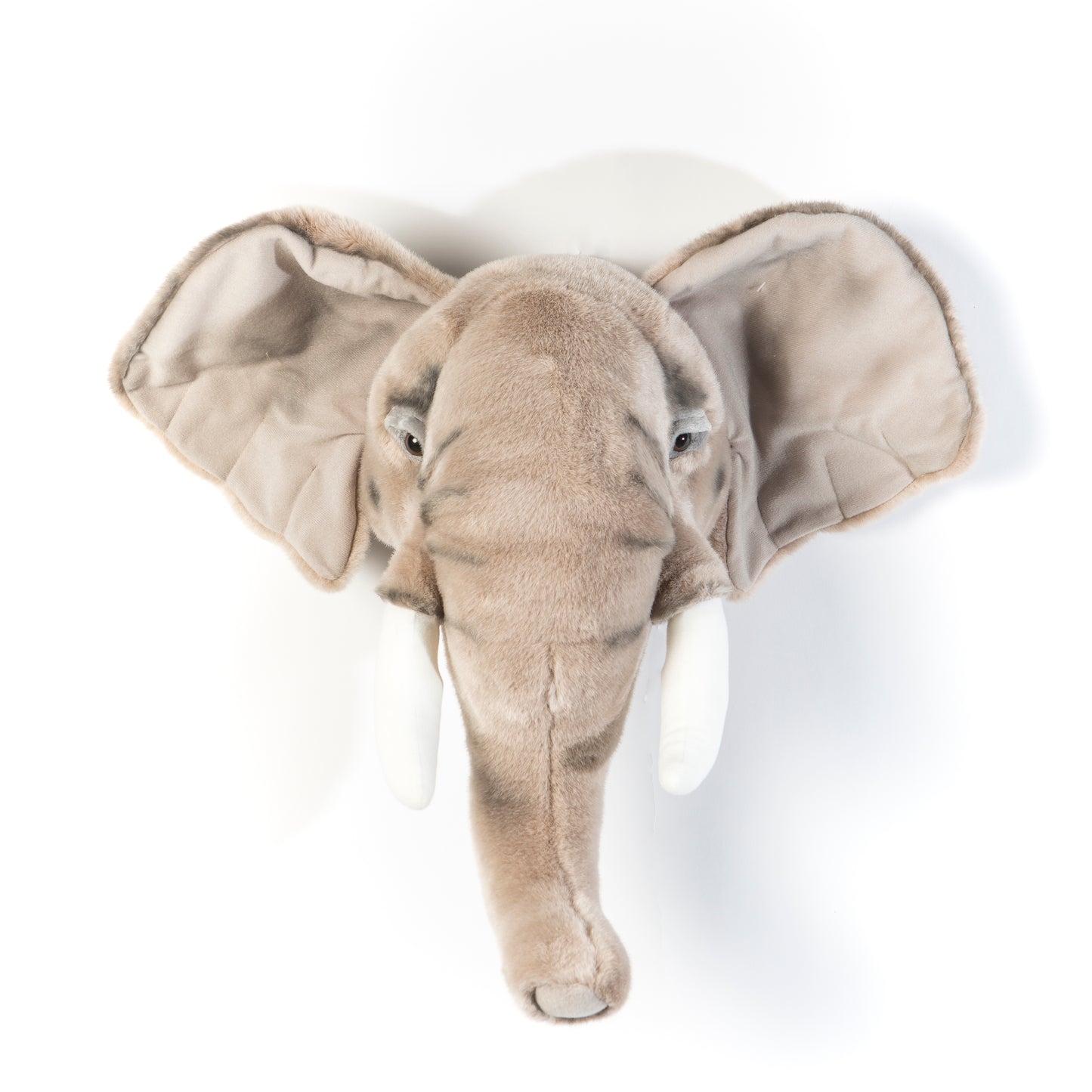 Trophée de chasse tête d'Eléphant