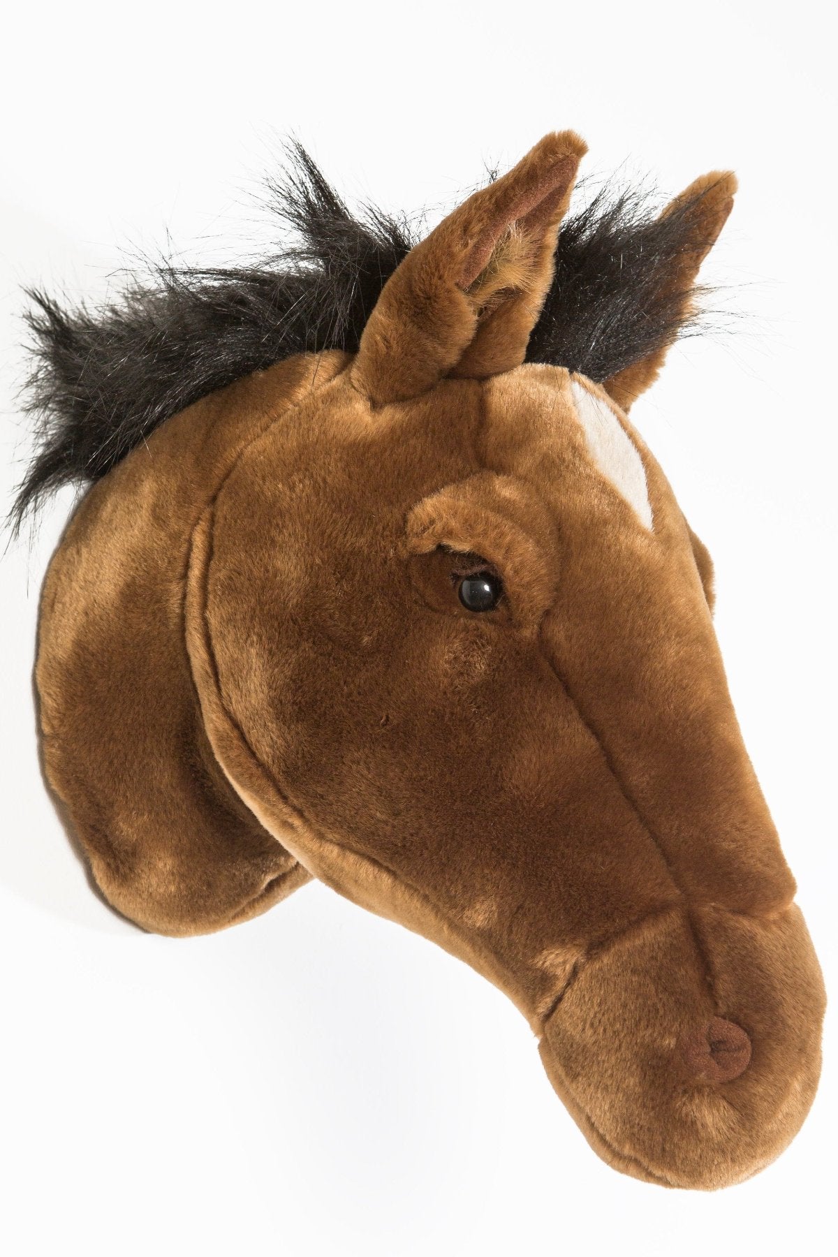 Trophée de chasse tête de Cheval