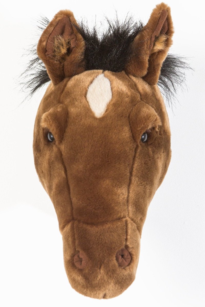 Trophée de chasse tête de Cheval