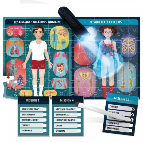 Le corps humain au rayons X