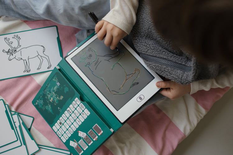 Activités artistiques et créatives