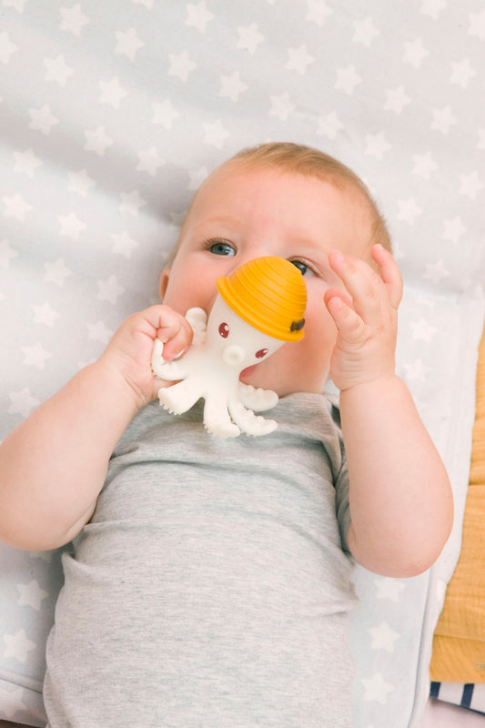 Pieuvre de dentition