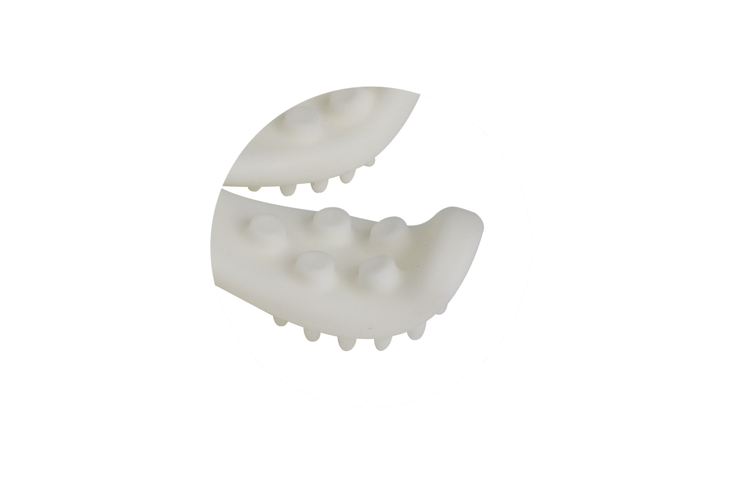 Pieuvre de dentition