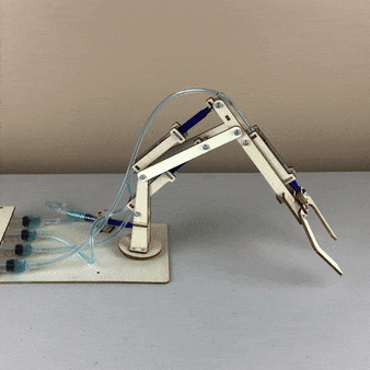Kit de bricolage de bras robotique hydraulique, jouet éducatif STEM pour enfants