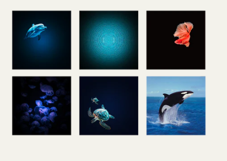 Projecteur - Océans