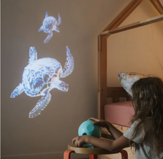 Projecteur - Océans