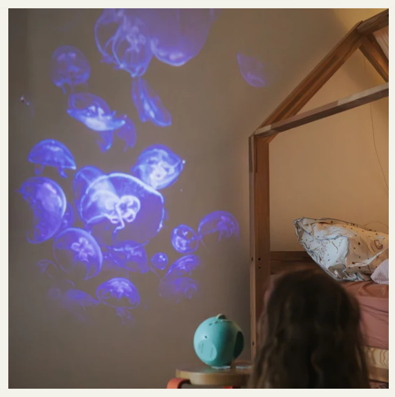 Projecteur - Océans