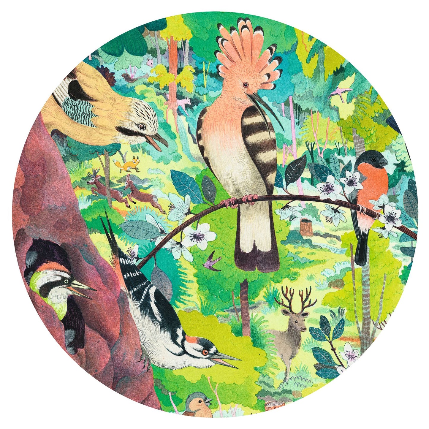 Puzzle chouette & oiseaux  1 000 pièces