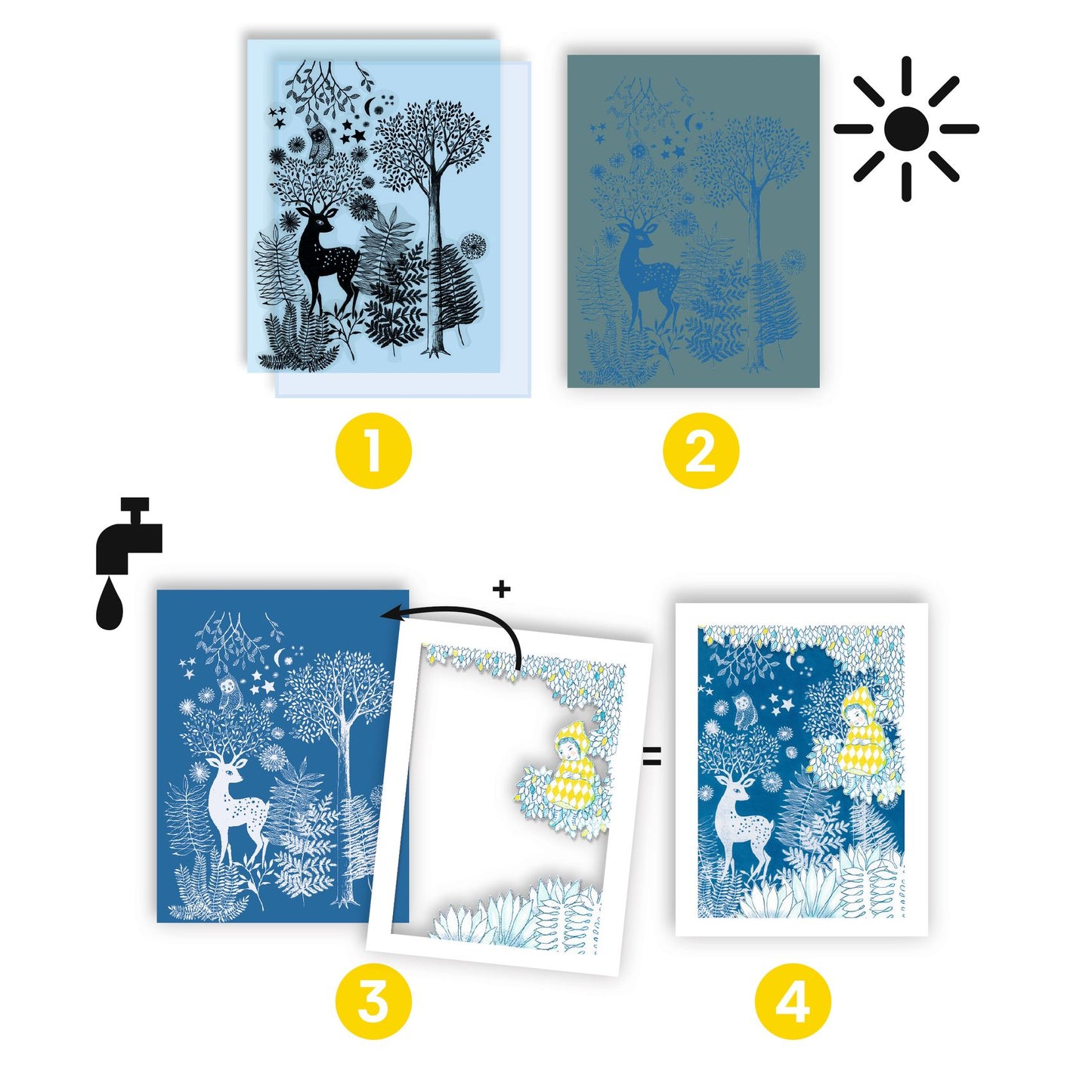 Cyanotype : Au clair de la lune