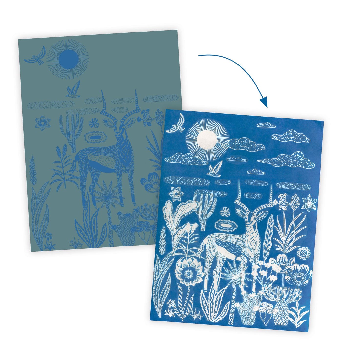 Cyanotype : Savane nocturne