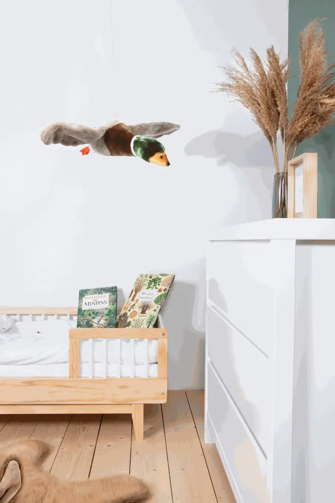 Alain - Canard volant