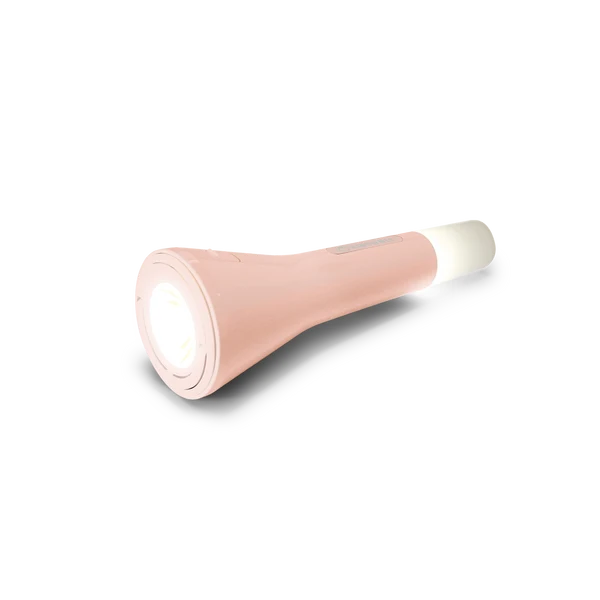 Lampe torche : rose