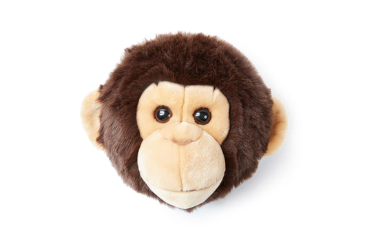 Trophée de chasse tête de Singe