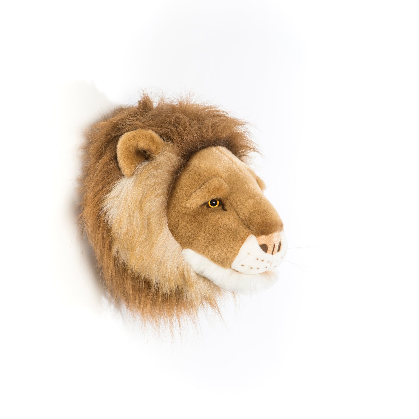 Trophée de chasse tête de Lion