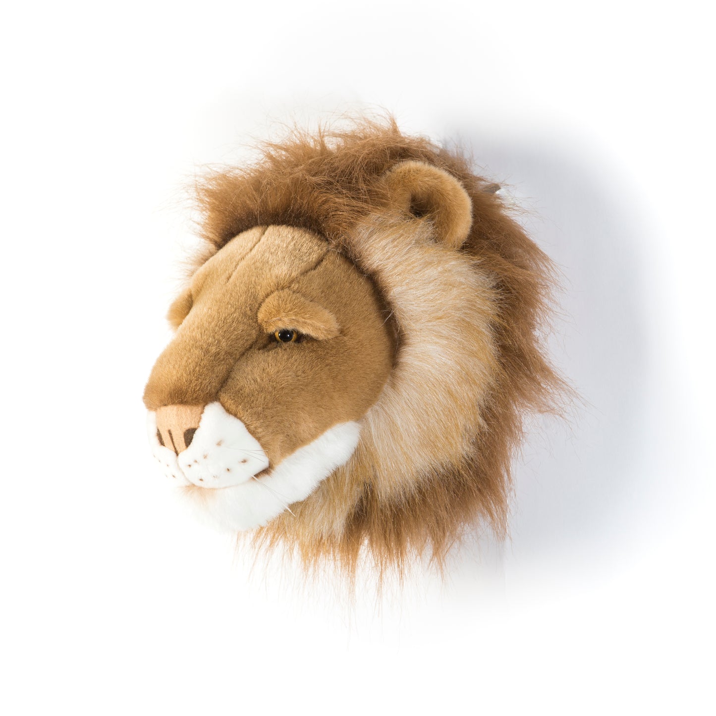 Trophée de chasse tête de Lion