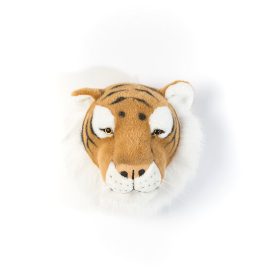 Trophée de chasse tête de Tigre