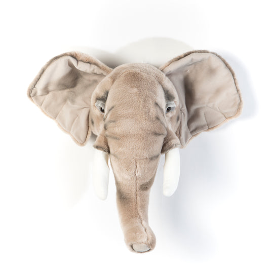 Trophée de chasse tête d'Eléphant