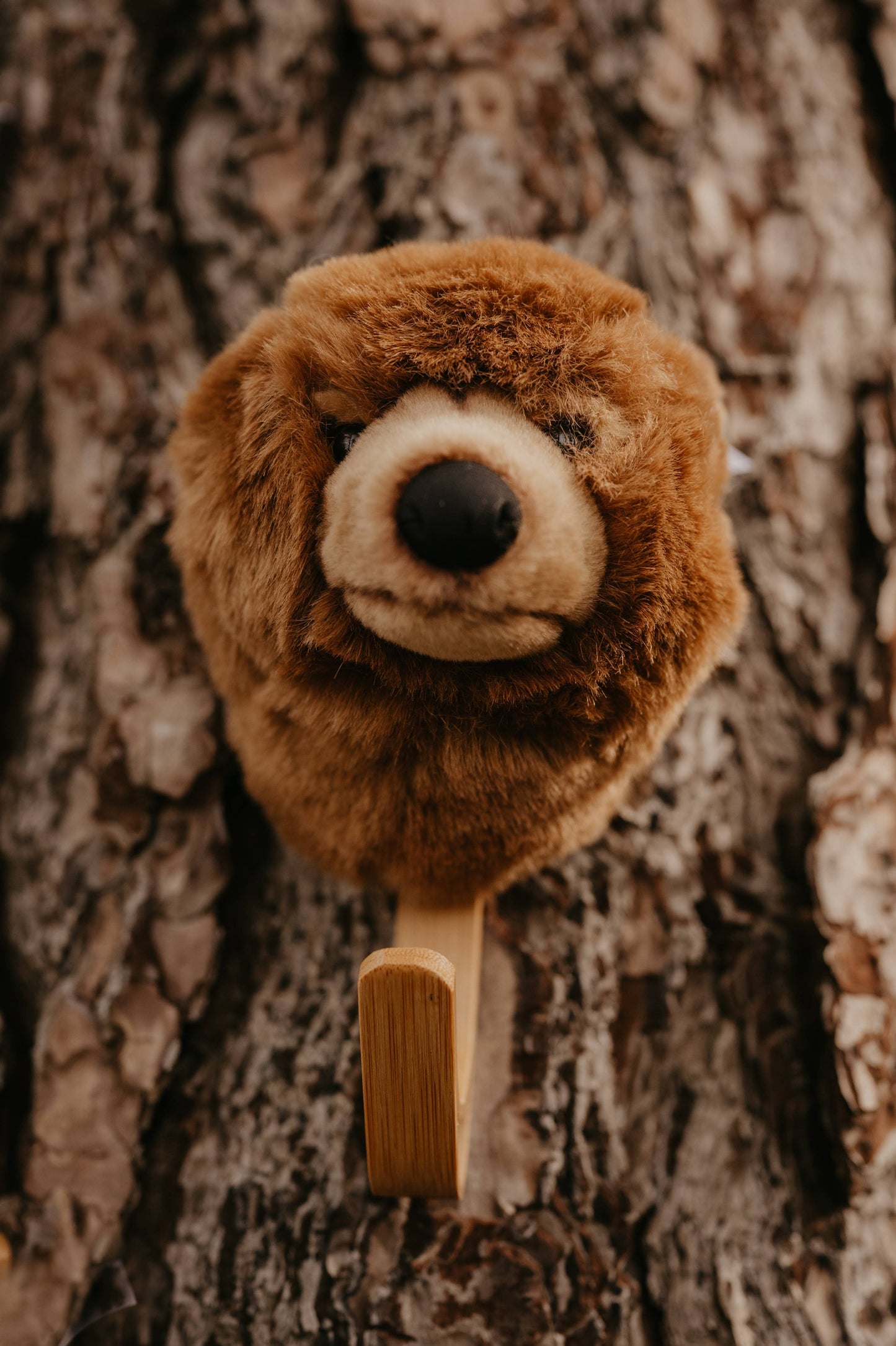 Porte-manteau Ours Brun