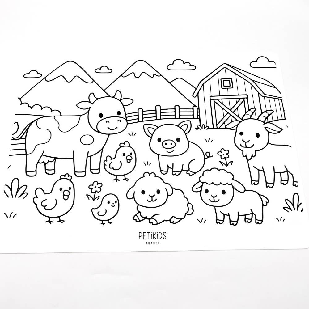 Set de Table à Colorier en Silicone - 2 faces