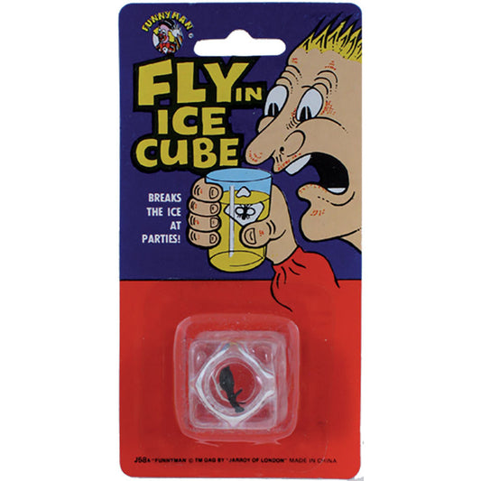 Glaçon avec mouche