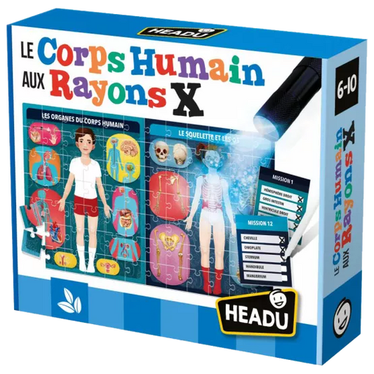 Le corps humain au rayons X