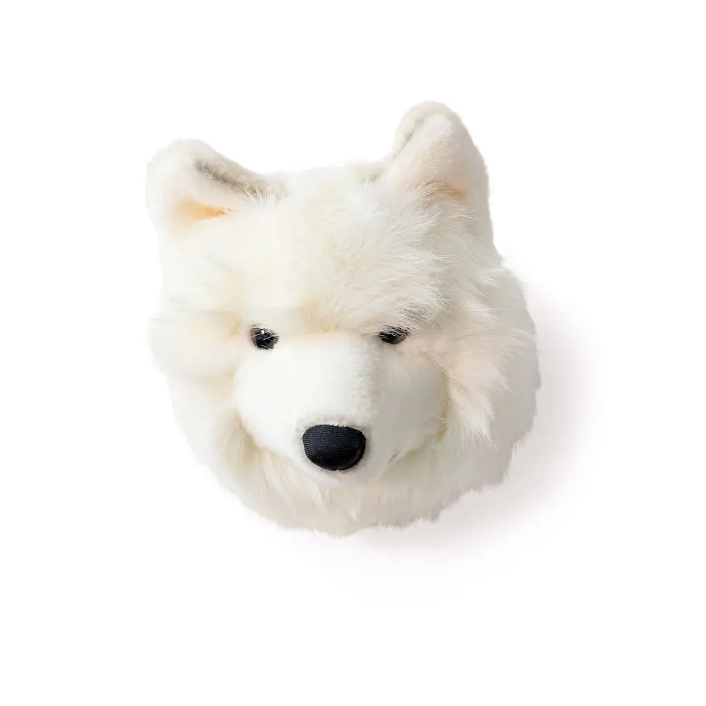 Tête de Loup